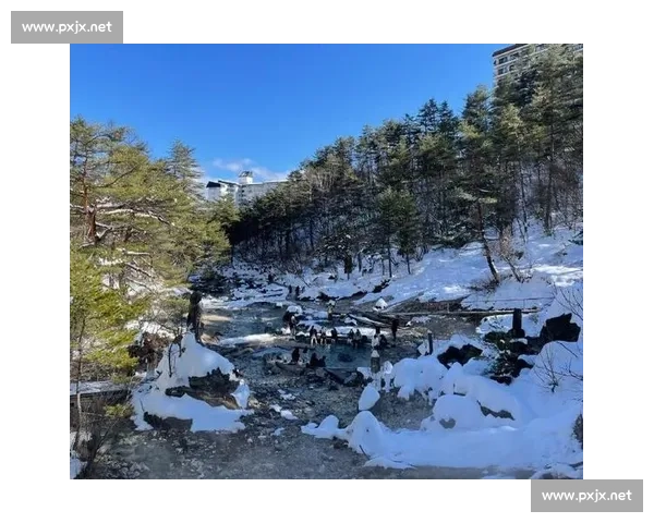 草津温泉与名古屋深度对比:温泉疗养与都市文化的旅行体验全解析 草津温泉与名古屋深度对比:温泉疗养与都市文化的旅行体验全解析