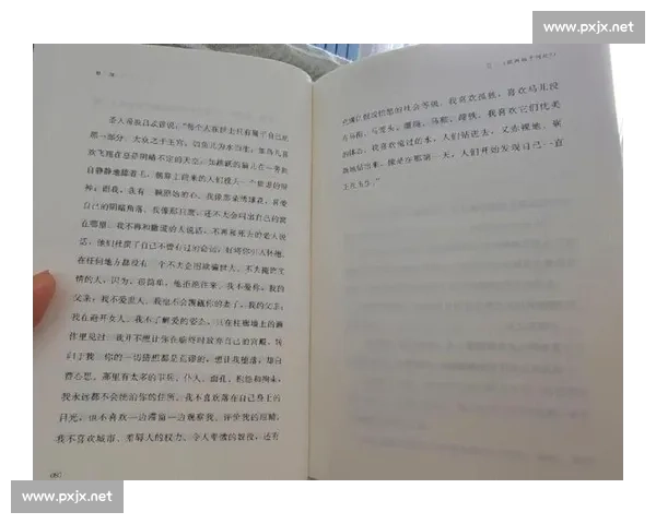 自由与神秘人之间的对决与命运交织的多维叙事与深度思考